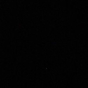 Meet your Posher, Todd